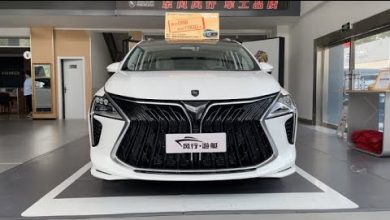 Видео обзор автомобиля Dongfeng FORTHING Yacht