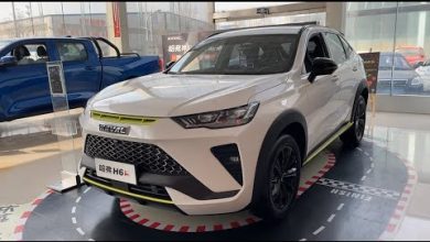 Видео обзор автомобиля по GreatWall Haval H6 S 2022 года