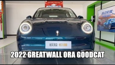 Видео обзор автомобиля GreatWall ORA GoodCat EV 2022 года