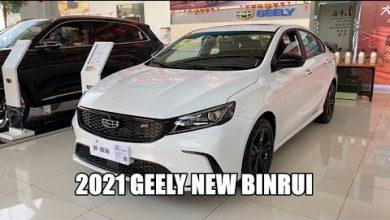 Видео обзор автомобиля Geely New Binrui