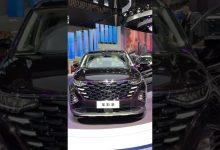 Видео обзор автомобиля Hyundai Custo