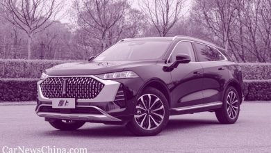 История Great Wall Motor (часть 2) История Great Wall Motor (часть 2)