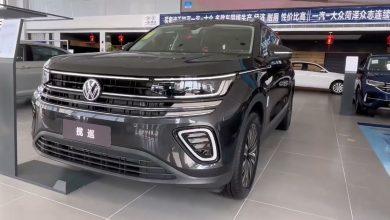 Видео обзор Volkswagen Tavendor