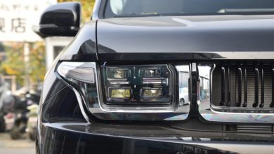 Рамный внедорожник от завода «Автотор»: что это за машина?