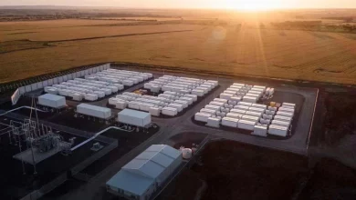 Новый завод Tesla в Шанхае набирает сотрудников. Новый завод Tesla в Шанхае набирает сотрудников.
