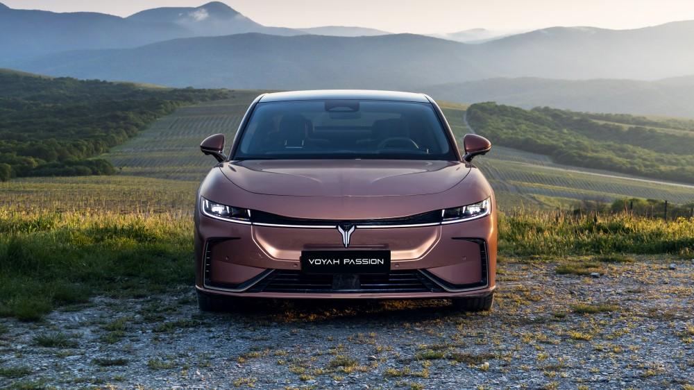 Фронт страсти Воя