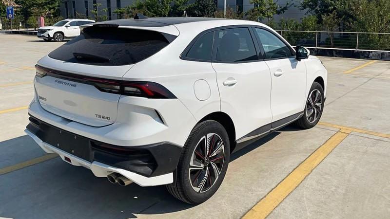 Задняя часть Forthing T5 Hurricane Edition / T5 HEV