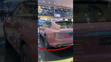 Взгляд на HONGQI E-LS Concept