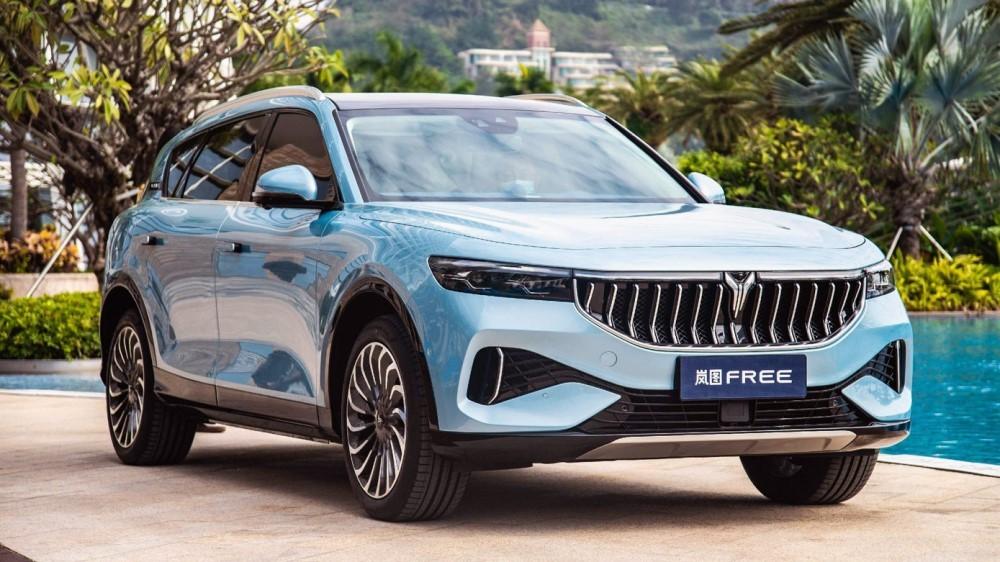 Воя бесплатно