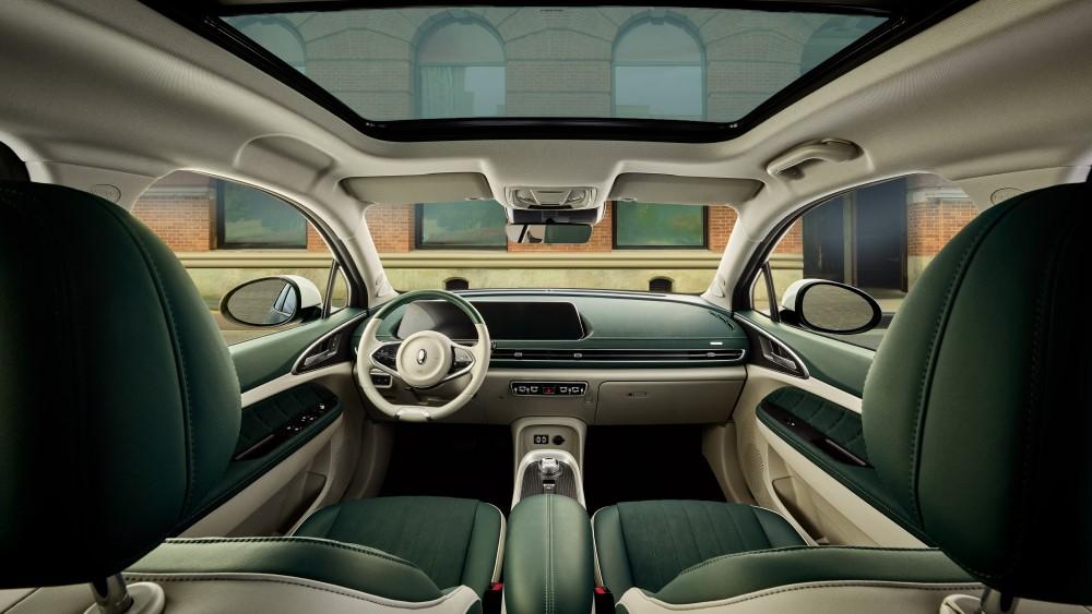 Ora 03 Funky Cat интерьер салона