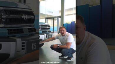 Leopard 5 video shorts Leopard 5 video shorts