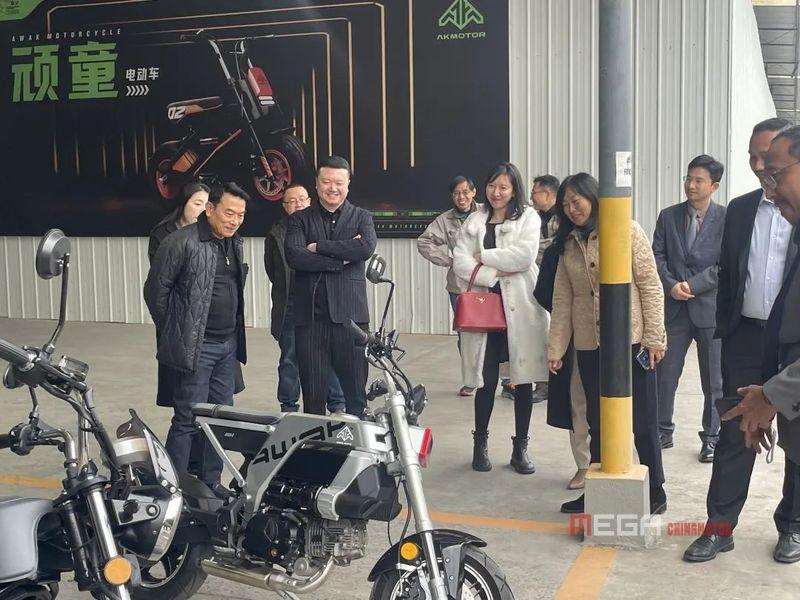 Делегация из Индонезии посетила китайскую компанию BASHAN для изучения их продукции