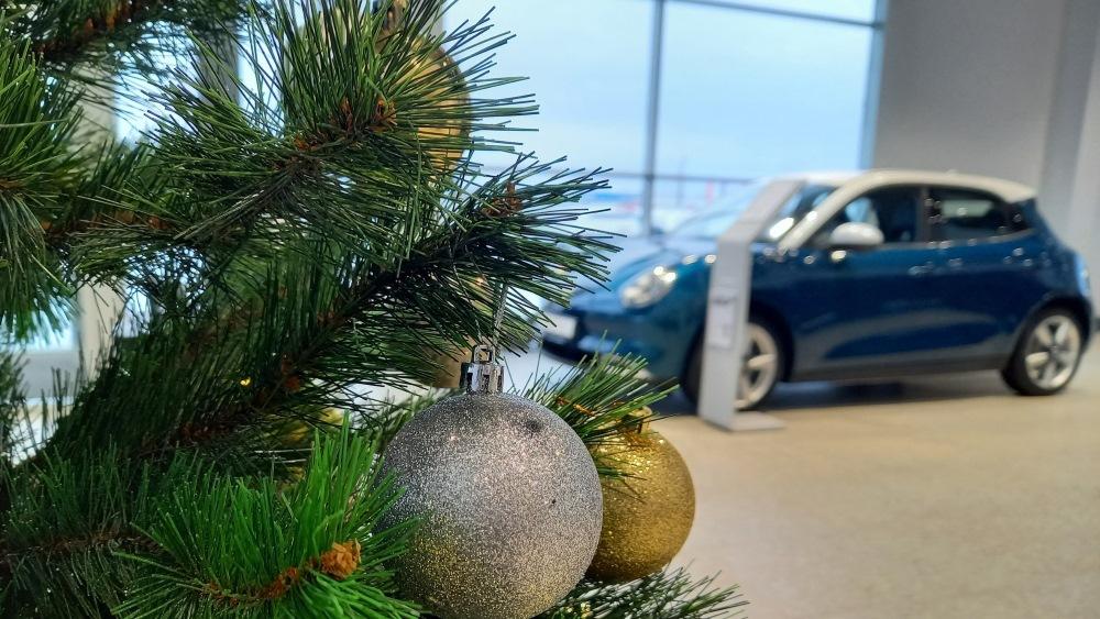 Ора 03 в автосалоне Елка зима Тверь ОРА Авто Премиум