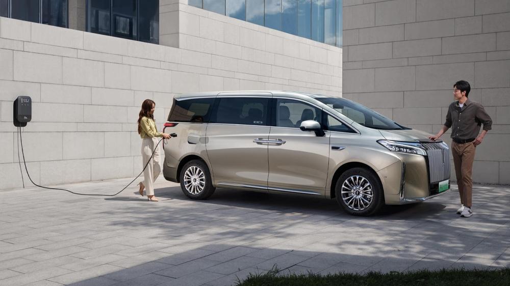 Лицевая сторона Wey Alpine