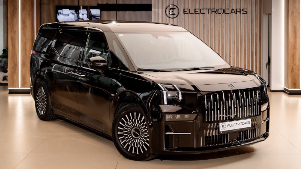 Что ломается в электромобилях зимой Zeekr 009 Электрокары