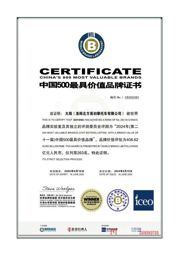 Бренд Dayang вошел в список «500 самых ценных брендов Китая» 2024 года, с капитализацией в 40,8 миллиардов юаней