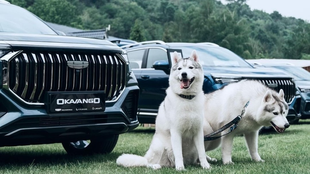 Презентация боковых передних собак кроссоверов Geely Okavango
