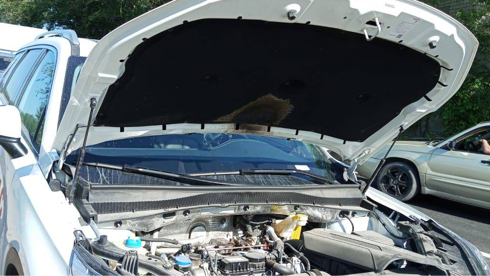 кроссовер gac gs5 fire отсек двигателя загорелся