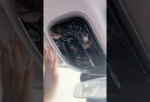 Короткое видео нового Chery Tiggo8 L 2025 года