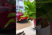 Короткое видео CHERY EXEED STERRA ES EV 2025