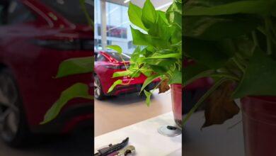 Короткое видео CHERY EXEED STERRA ES EV 2025