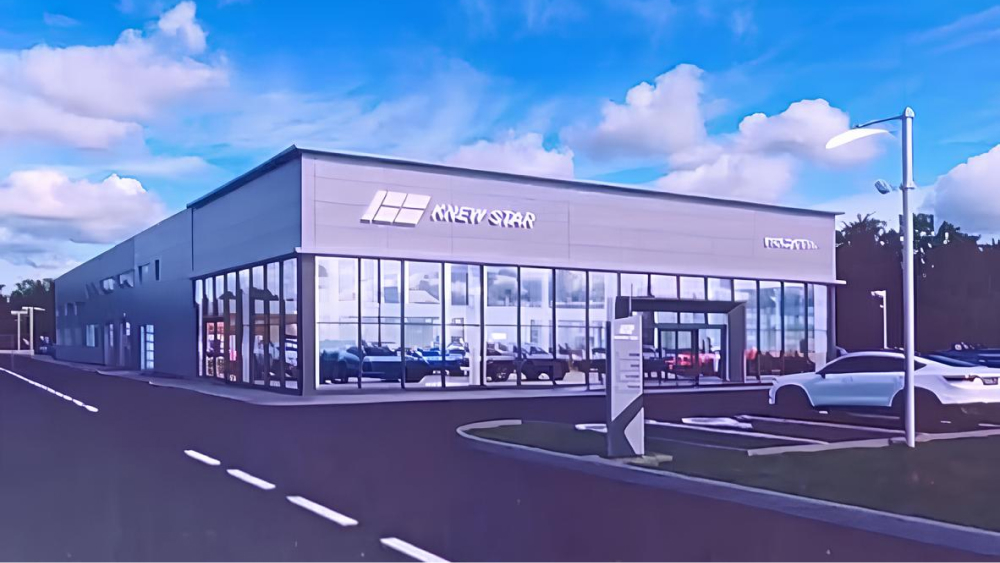 knewstar дилер россия