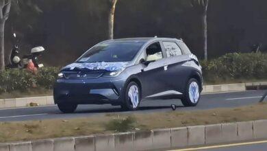 Новый крупный Dolphin Dolphin Spotted Testing перед запуском