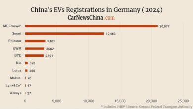 Нио 398, 2891 BYD, 3002 GWM, 20 977 мг.