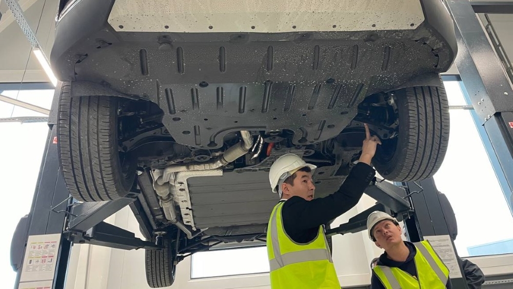BYD в Казахстане защита от энергетики