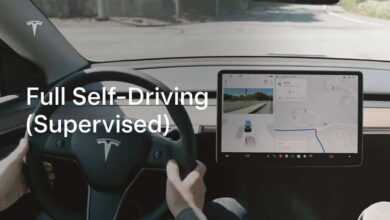 Процесс Tesla FSD в Китае временно сохранил перерыв, говорится в отчете Процесс Tesla FSD в Китае временно сохранил перерыв, говорится в отчете