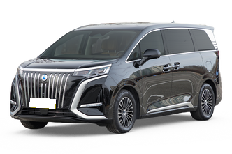 Wuling Hongguang Mini EV, Byd Song Plus, Denza D9, февраль 2025 г.