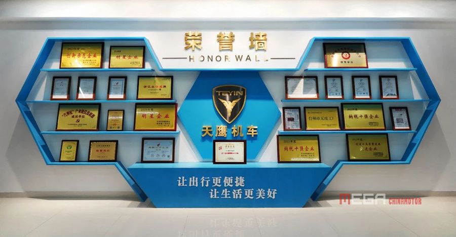 Тейин был награжден «специализированным, утонченным, отличительным и инновационным малым и средним предприятием провинции Чжэцзян» 2