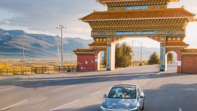 В Китае Tesla China вернулась к небольшому росту в сентябре, продав 90 812 автомобилей. В Китае Tesla China вернулась к небольшому росту в сентябре, продав 90 812 автомобилей.