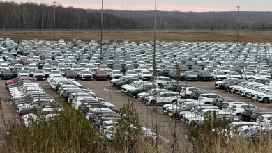 В России: 2025 год оказался непростым, вспоминаем все, что пережили.