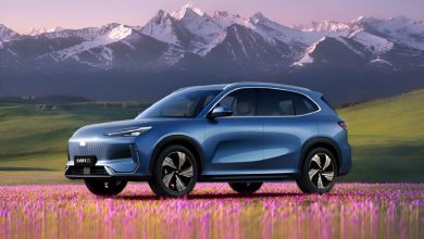 В Китае дочерняя компания Geely начала производство чипа ADAS с производительностью 2 048 TOPS.