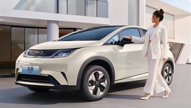 В Китае BYD Dolphin появится в Южной Корее в первой половине 2026 года по стартовой цене 14 000 долларов США.