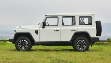 В России цена на дизельный BAW 212 рухнула на 800 тысяч рублей после адаптации