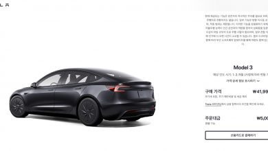 В Китае запущенная бюджетная Tesla Model 3 в Южной Корее имеет запас хода 200 км.