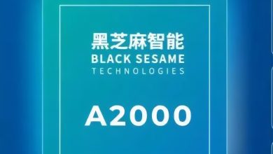 В Китае поставщик чипов ADAS для BYD, Black Sesame Technologies, успешно прошел проверку правительства США для глобальных продаж.