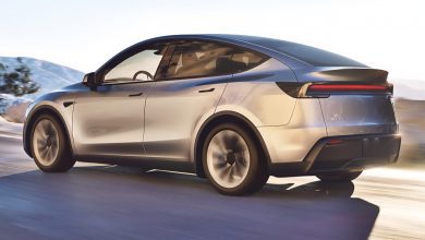 В Китае рейтинг кроссоверов 2025 года: Tesla Model Y лидирует, BYD отсутствует в топ-5.