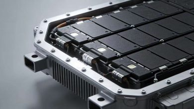 В Китае клетки поддерживают ИИ США в исследовании Nature, сокращая время тестирования на 95%