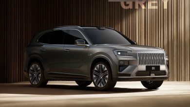 В Китае Zeekr заявляет "медленно — значит быстро" в ходе предсерийных испытаний внедорожника 8X.