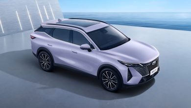 В Китае Chery представила официальные изображения нового внедорожника Tiggo 7L.