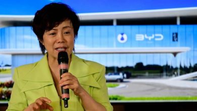 В Китае: BYD получила 100 000 заказов на автомобили из Аргентины и Мексики для бразильского завода.